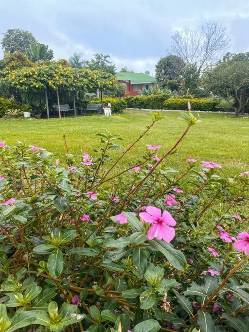 Hermosa En Chinauta Holiday home
